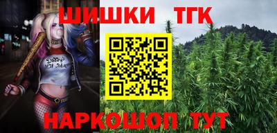 МДПВ Татарск