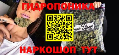 мяу мяу мука Тара