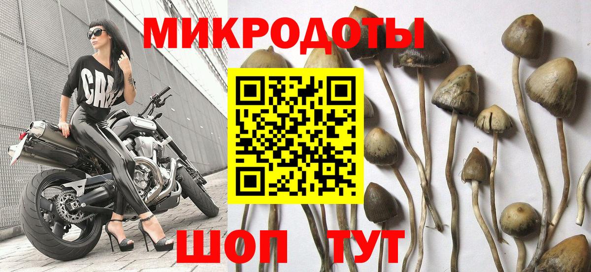 Псилоцибиновые грибы Magic Shrooms Нижний Новгород
