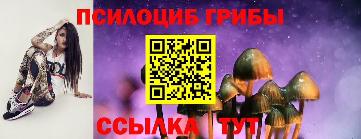Нижний Новгород  Галлюциногенные грибы Psilocybe  Псилоцибиновые грибы прущие грибы  Вход с VPN 